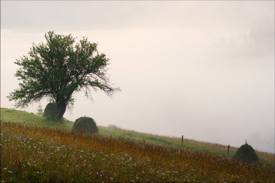 Pastoral Summer Landscapes of Transcarpathia, Ukraine photo 6