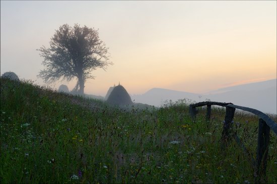 Pastoral Summer Landscapes of Transcarpathia, Ukraine photo 8