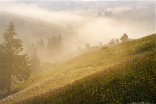 Pastoral Summer Landscapes of Transcarpathia, Ukraine photo 9