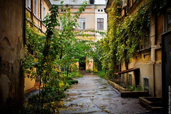 Unique Odessa patios, Ukraine, photo 16