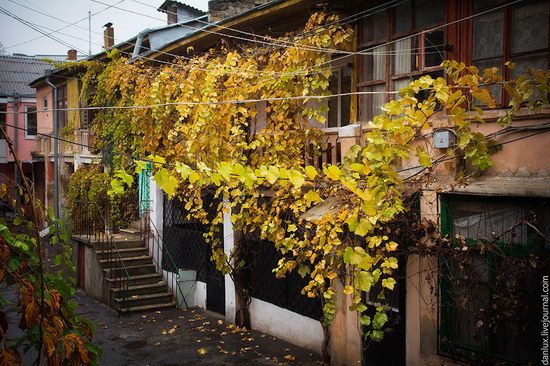 Unique Odessa patios, Ukraine, photo 17