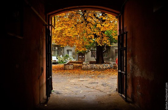 Unique Odessa patios, Ukraine, photo 18