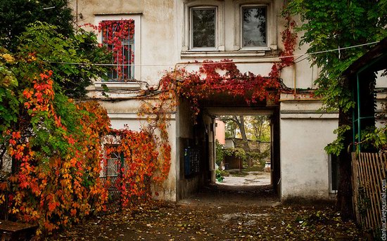 Unique Odessa patios, Ukraine, photo 22