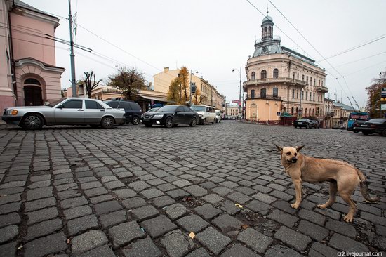 Chernivtsi city, Ukraine streets, photo 3