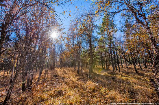 Beautiful fall on Ai-Petri in Crimea, Ukraine, photo 1