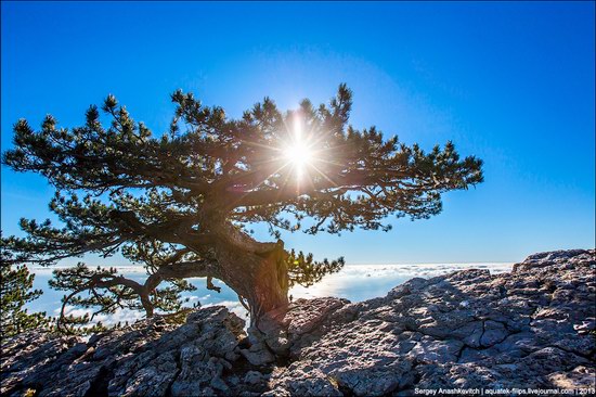 Beautiful fall on Ai-Petri in Crimea, Ukraine, photo 13