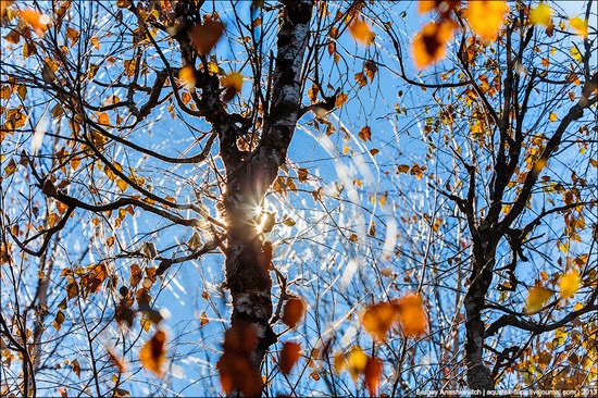 Beautiful fall on Ai-Petri in Crimea, Ukraine, photo 16