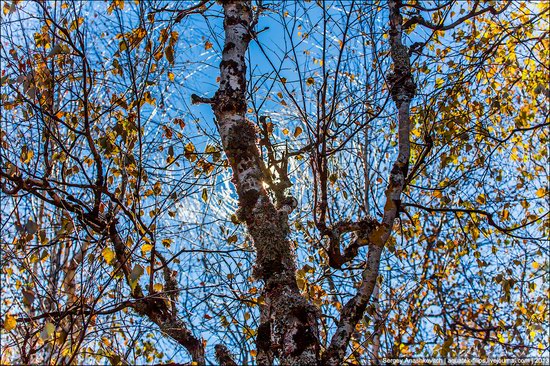 Beautiful fall on Ai-Petri in Crimea, Ukraine, photo 17