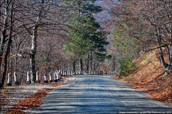 Beautiful fall on Ai-Petri in Crimea, Ukraine, photo 2