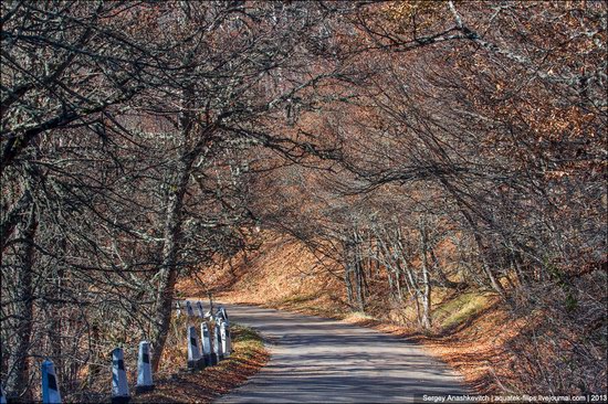 Beautiful fall on Ai-Petri in Crimea, Ukraine, photo 3