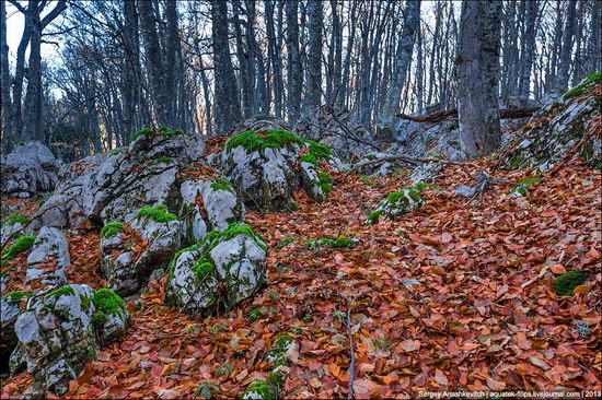 Beautiful fall on Ai-Petri in Crimea, Ukraine, photo 6