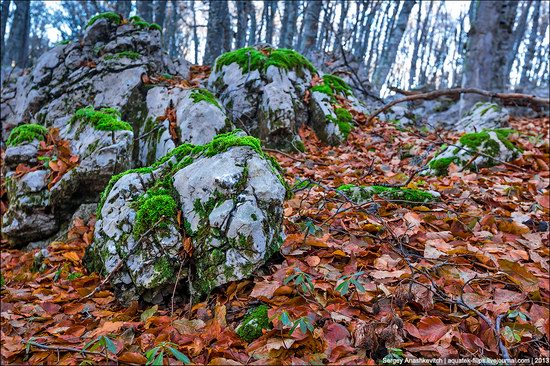 Beautiful fall on Ai-Petri in Crimea, Ukraine, photo 7