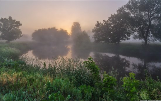 Scenic summer landscapes of Kharkiv region, Ukraine, photo 10