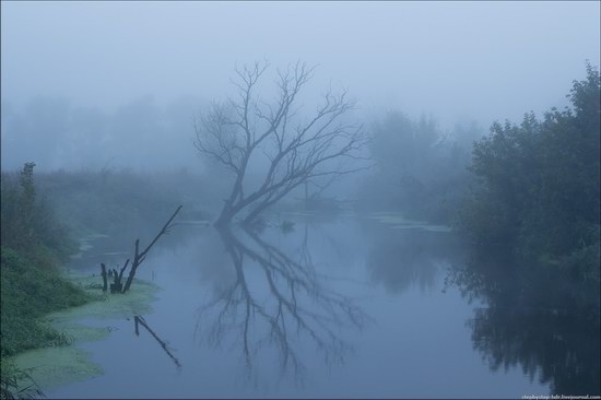 Scenic summer landscapes of Kharkiv region, Ukraine, photo 12