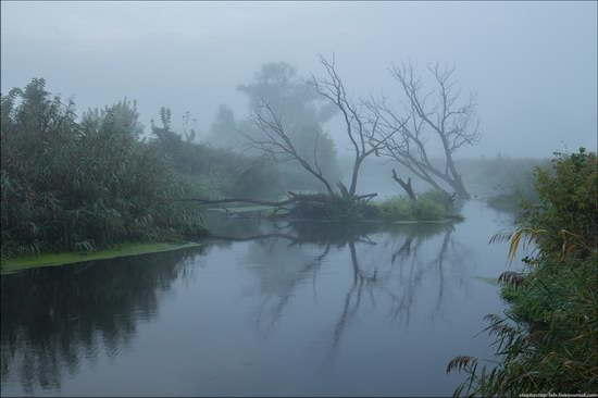 Scenic summer landscapes of Kharkiv region, Ukraine, photo 13