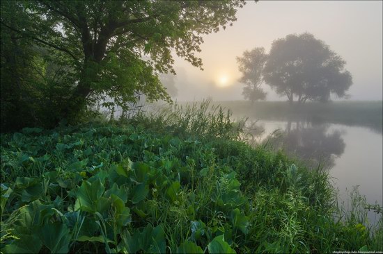 Scenic summer landscapes of Kharkiv region, Ukraine, photo 8