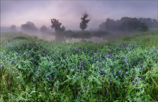 Scenic summer landscapes of Kharkiv region, Ukraine, photo 9