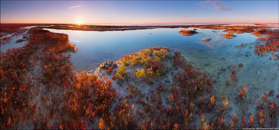 Syvash Bay - the Rotten Sea, Crimea, Ukraine