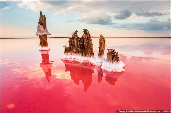 Abandoned salt fields, Crimea, Ukraine, photo 18