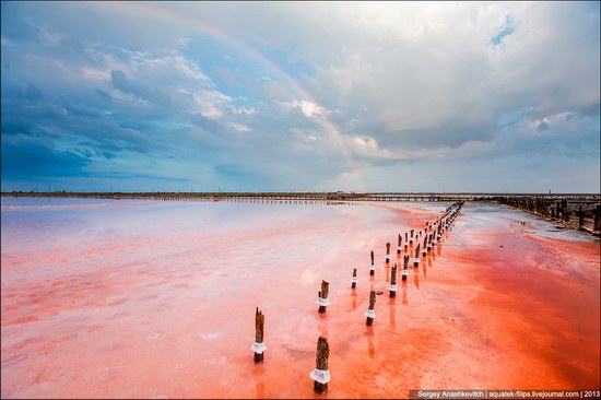 Abandoned salt fields, Crimea, Ukraine, photo 19