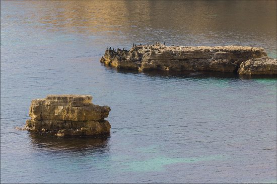 Cape Tarkhankut in the Crimea, Ukraine, photo 11