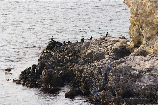 Cape Tarkhankut in the Crimea, Ukraine, photo 12