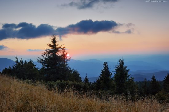 Hutsul Alps, Zakarpattia region, Ukraine, photo 12