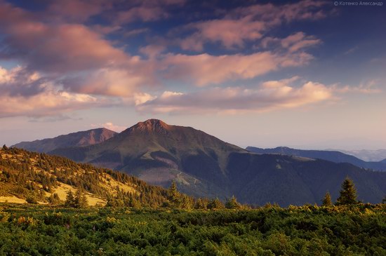 Hutsul Alps, Zakarpattia region, Ukraine, photo 14