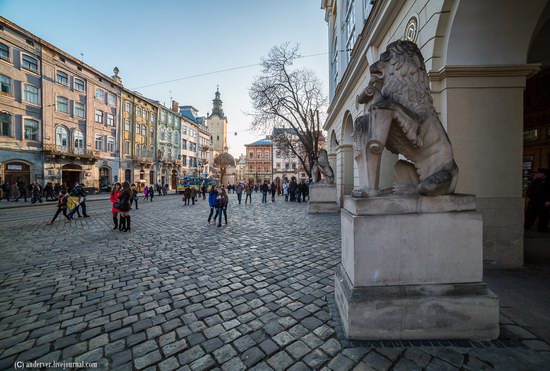 Beautiful architecture of Lviv, Ukraine, photo 15