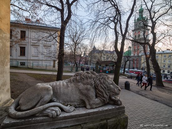 Beautiful architecture of Lviv, Ukraine, photo 6