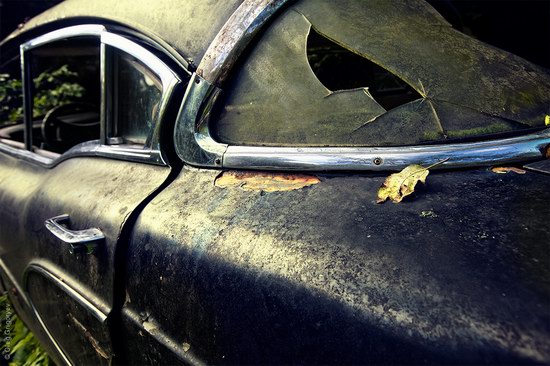 Abandoned vintage cars, Ukraine, photo 10