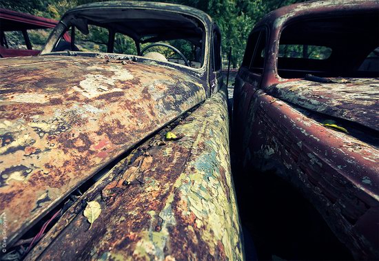 Abandoned vintage cars, Ukraine, photo 6