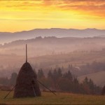 Gold morning in the Ukrainian Carpathians