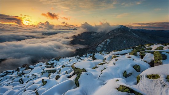 Gorgany Mountains, Carpathians, Ukraine