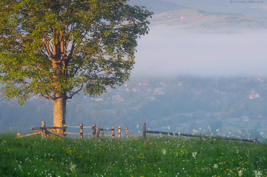 Misty landscapes, the Carpathians, Ukraine, photo 6