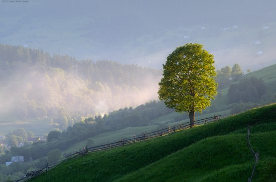 Misty landscapes, the Carpathians, Ukraine, photo 8