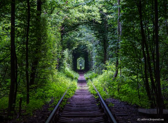 The Tunnel of Love, Rivne region, Ukraine, photo 1