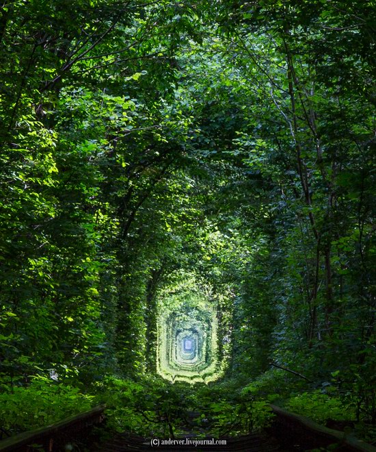 The Tunnel of Love, Rivne region, Ukraine, photo 10