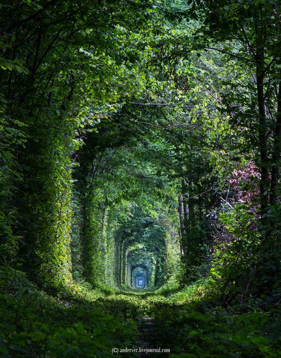 The Tunnel of Love, Rivne region, Ukraine, photo 11