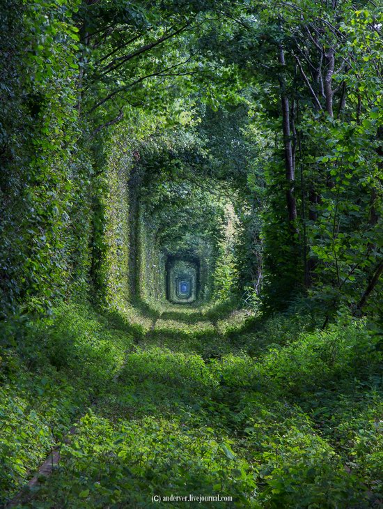 The Tunnel of Love, Rivne region, Ukraine, photo 12