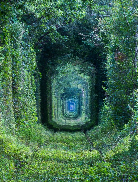 The Tunnel of Love, Rivne region, Ukraine, photo 13