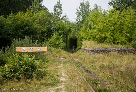The Tunnel of Love, Rivne region, Ukraine, photo 4