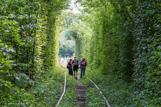 The Tunnel of Love, Rivne region, Ukraine, photo 5