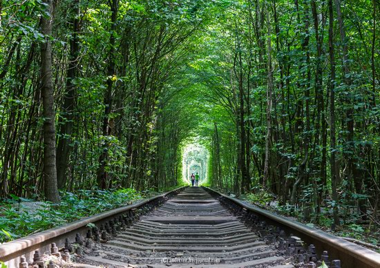 The Tunnel of Love, Rivne region, Ukraine, photo 6