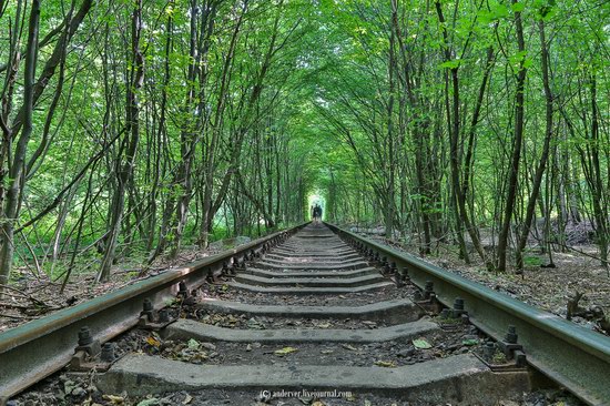 The Tunnel of Love, Rivne region, Ukraine, photo 7