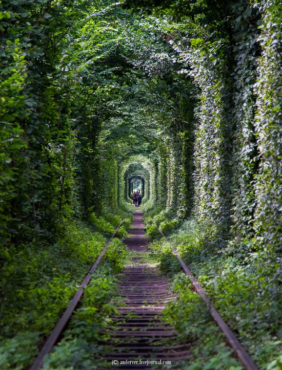 The Tunnel of Love, Rivne region, Ukraine, photo 8