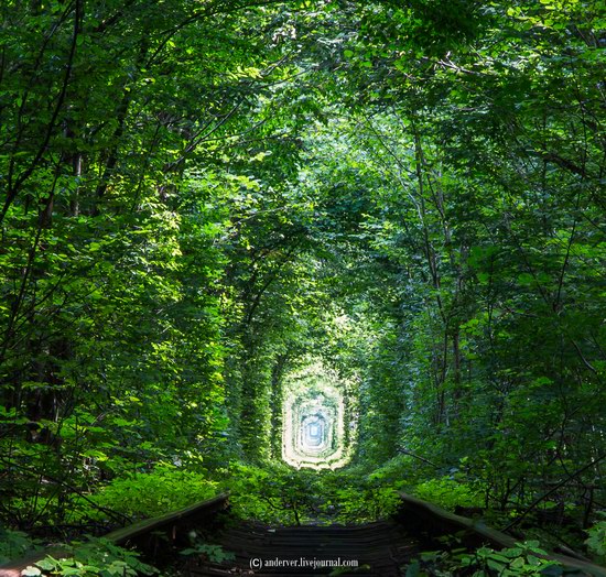 The Tunnel of Love, Rivne region, Ukraine, photo 9