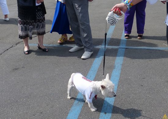 The Parade of Vyshyvankas, Kyiv, Ukraine, photo 5