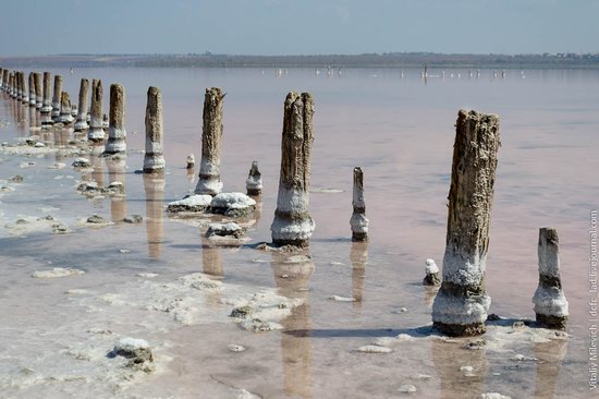 Salt desert near Odessa, Ukraine, photo 11