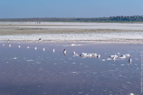 Salt desert near Odessa, Ukraine, photo 2